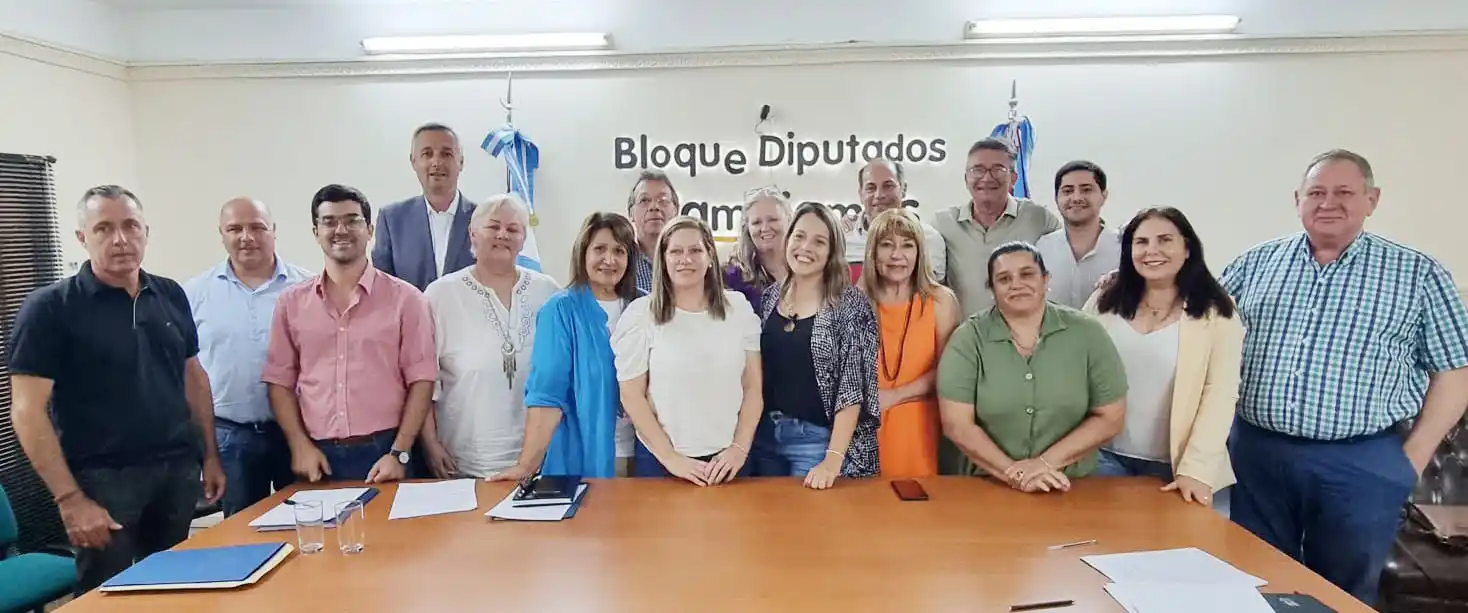 Presidirá la cámara baja Gustavo Hein y Fabián Rogel el bloque de Juntos por Entre Ríos