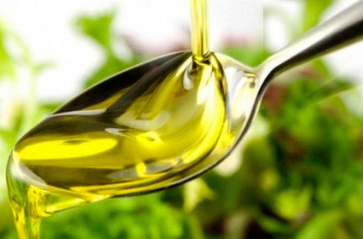 Bromatología prohibió la circulación de dos aceites de girasol