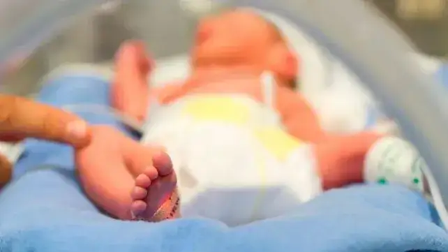 bebe en incubadora
