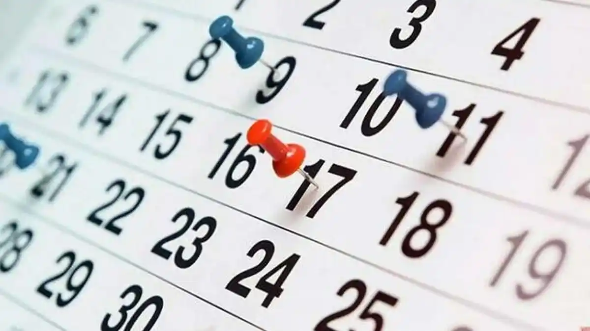 Uno por uno: conocé todos los feriados nacionales previstos para 2025