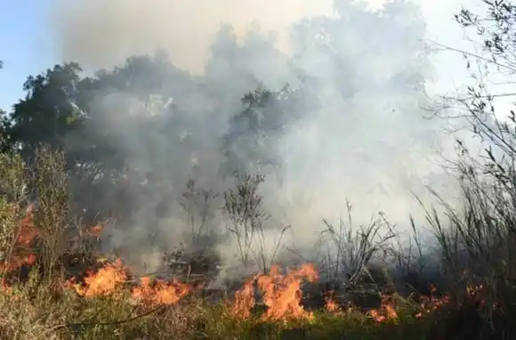 Nuevos incendios en las islas: «Desde hoy la situación debería estar controlada», afirmó el titular de Protección Civil