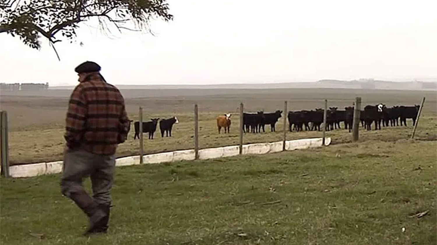 Aprueban un aumento de la prestación por desempleo para trabajadores rurales