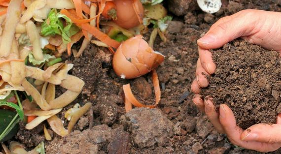 "Powerful", el fertilizante natural hecho con cáscaras de alimentos