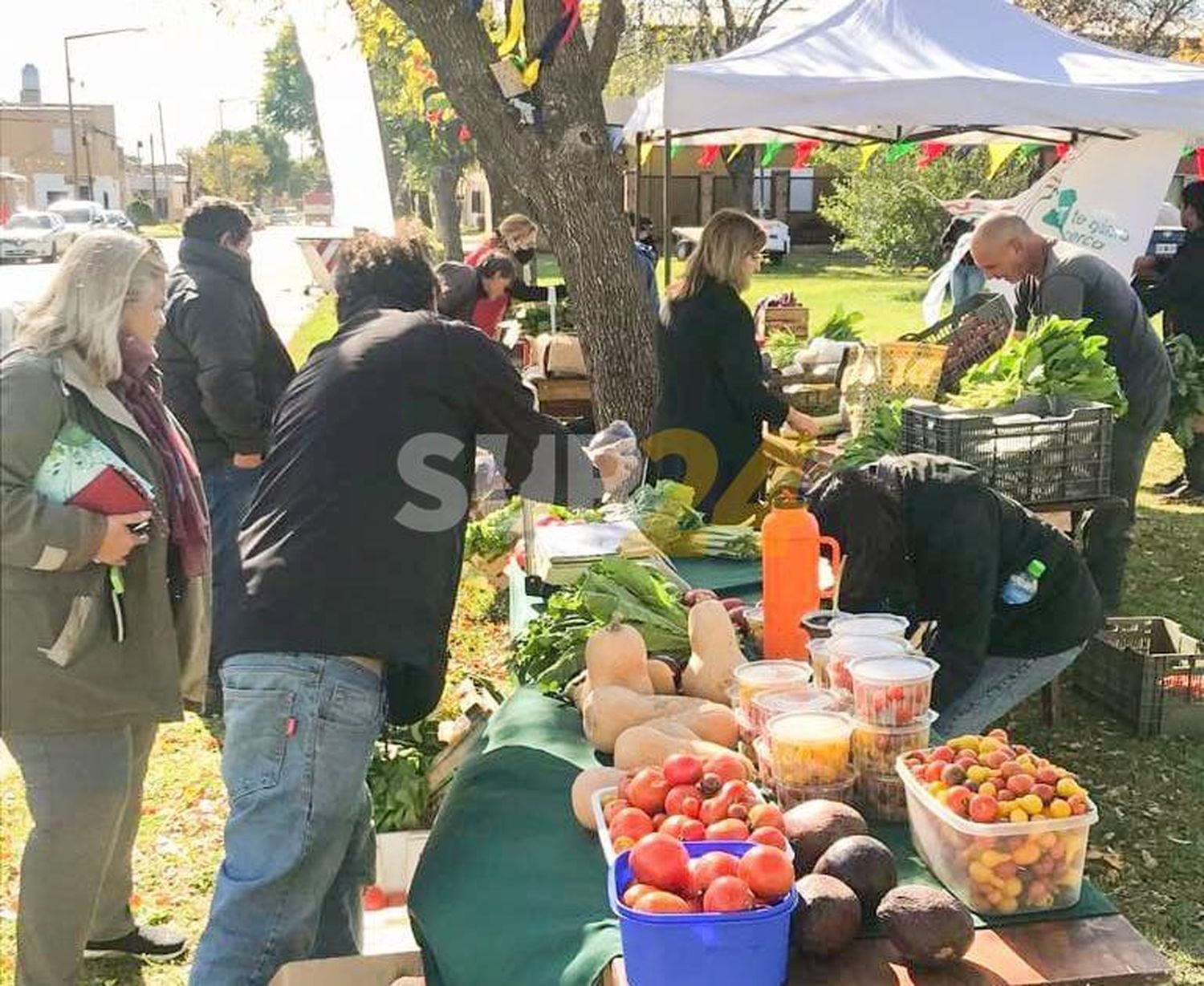 Emprendedores y huerteros dirán presente en el gran festejo patrio de plaza San Martín 