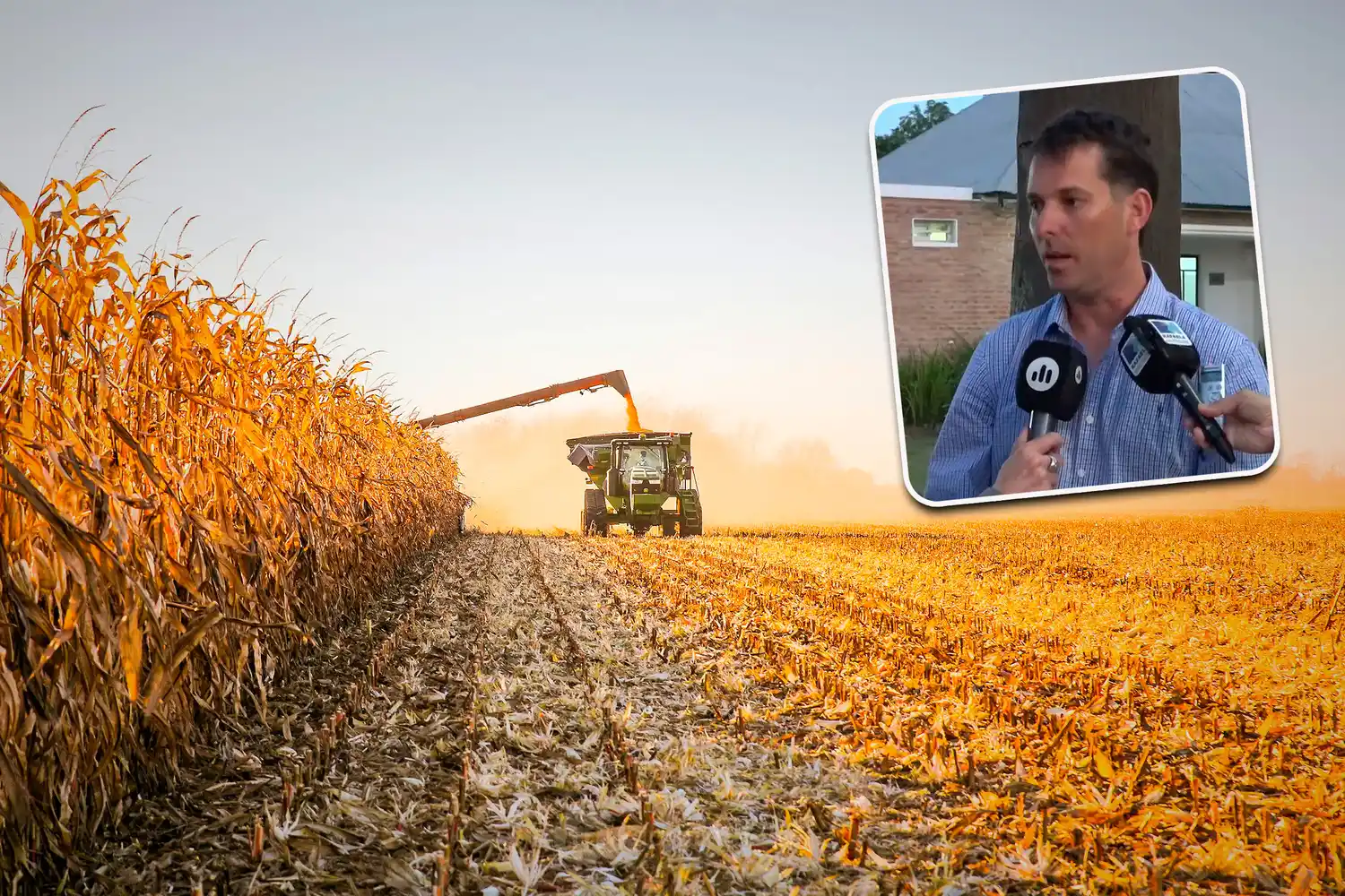 "La estabilidad no alcanza si no hay herramientas para producir’: el análisis de CARSFE sobre la realidad agropecuaria