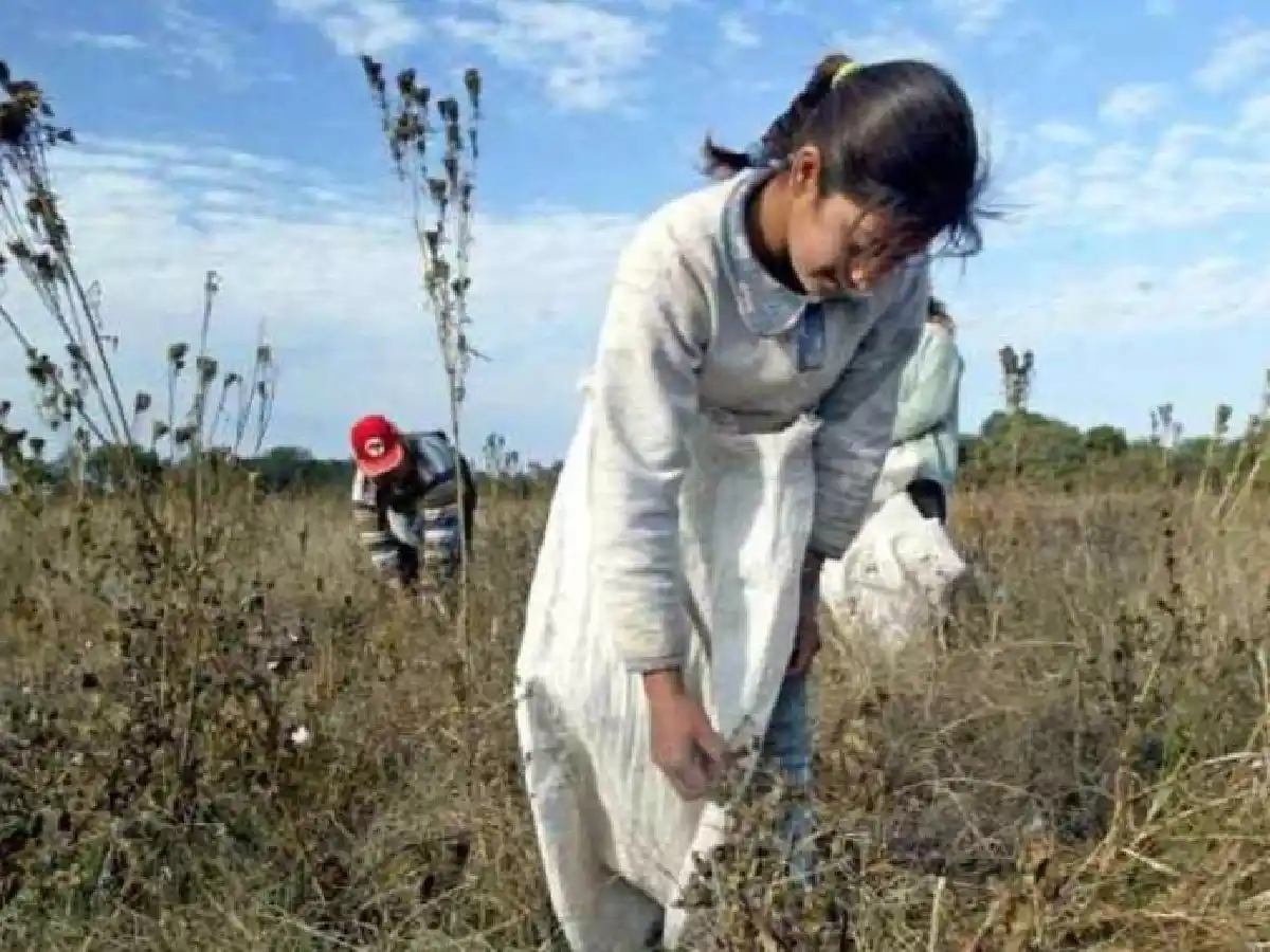 El rol de la mujer en el campo