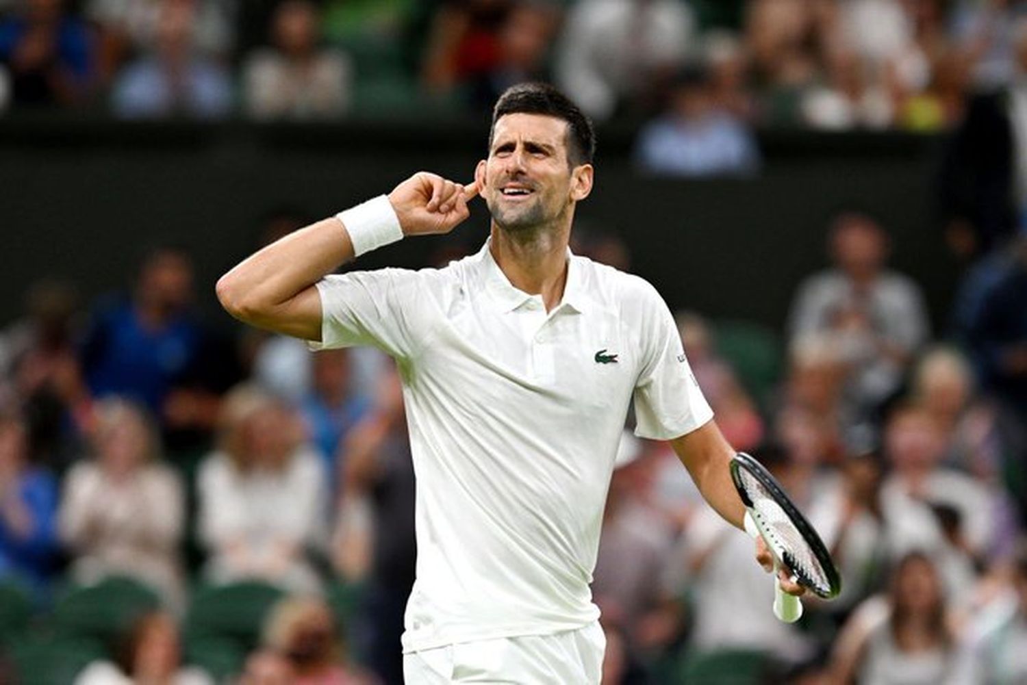 Djokovic y Alcaraz se metieron en los cuartos