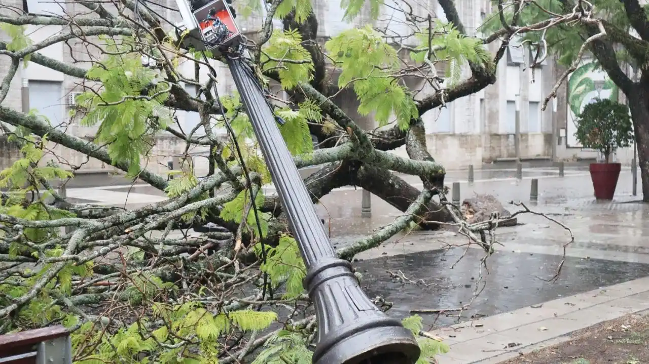 Corte de energía por el temporal, con fuertes vientos y lluvia, caída de árboles y ramas