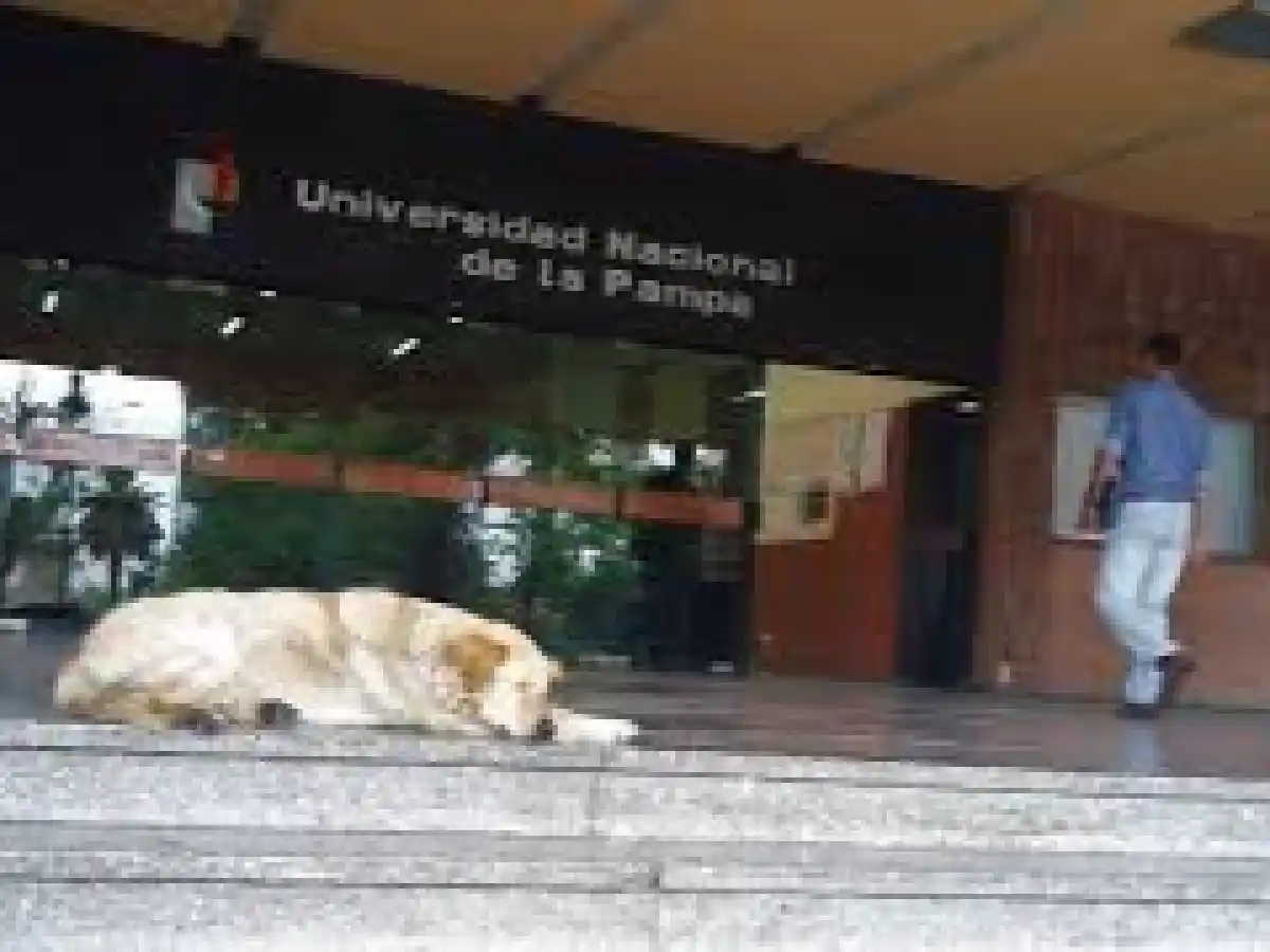 Suspenden a una docente que dijo que las mujeres que amamantan en público son "vacas lecheras" 