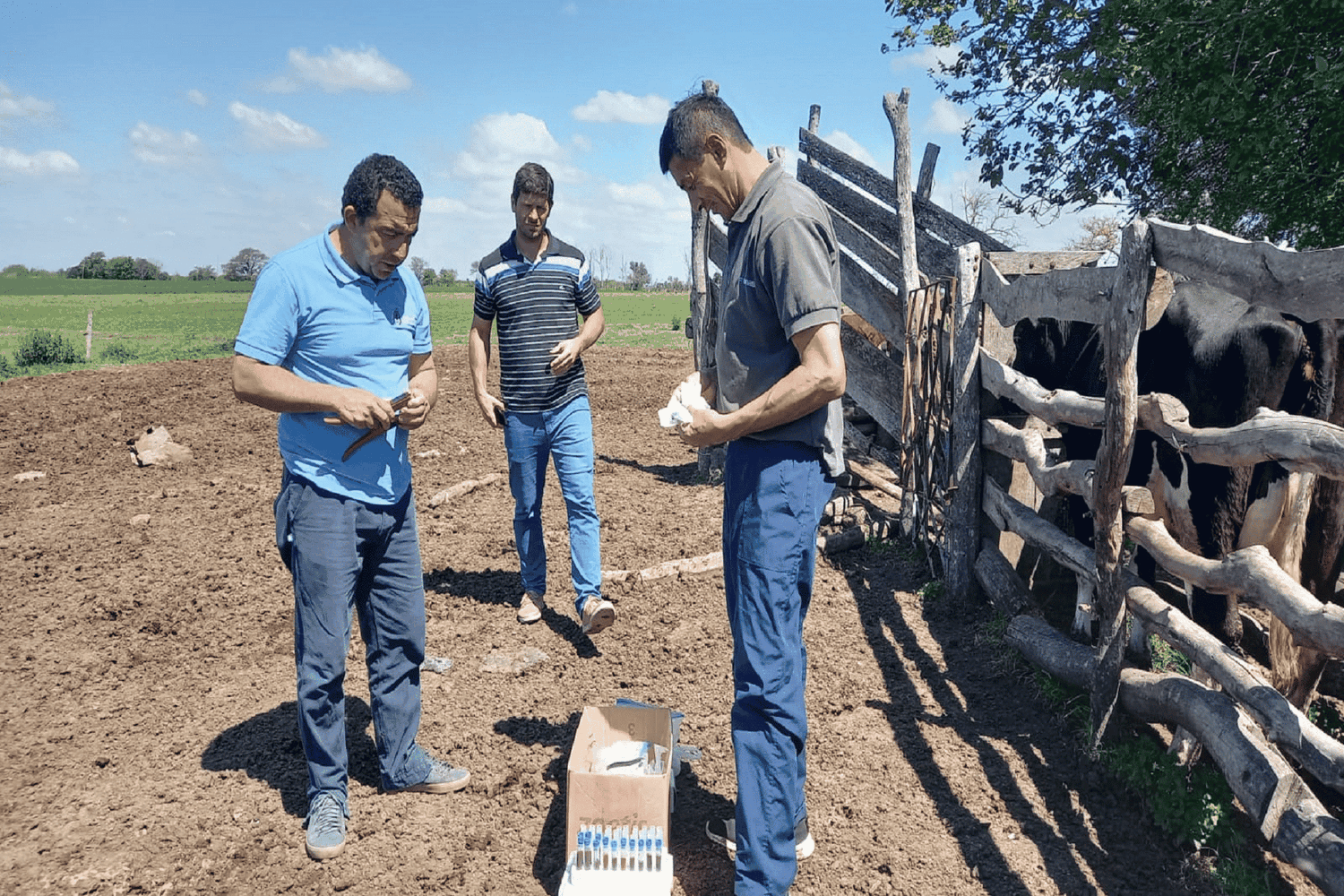 Trabajan en la asistencia de sanidad de rodeos lecheros en tambos de Nogoyá
