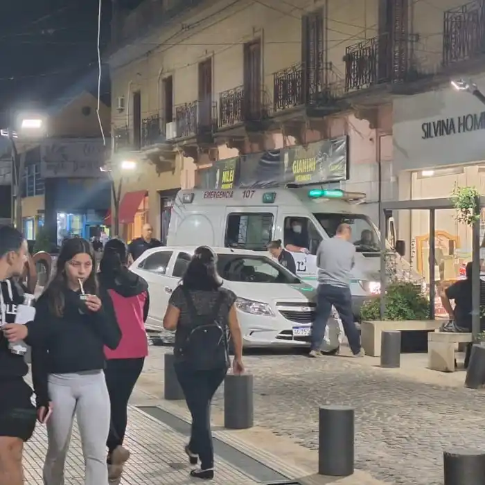 Encuesta por los pilotines: opiniones divididas, pero el Concejo ya aprobó su reemplazo