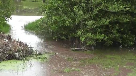 Extraña sustancia TIÑE DE ROJO canales y laguna en Lechería