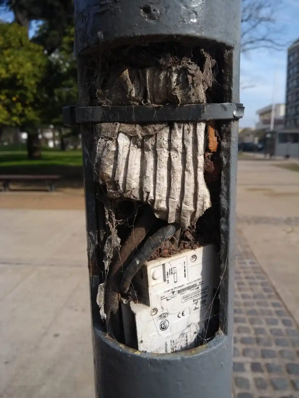 Peligro en la Plaza Independencia 