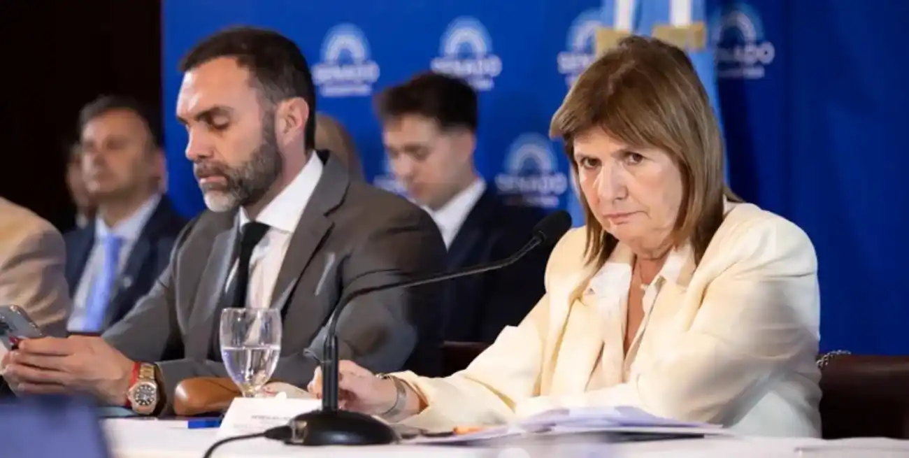 Atauche y Bullrich en el Senado