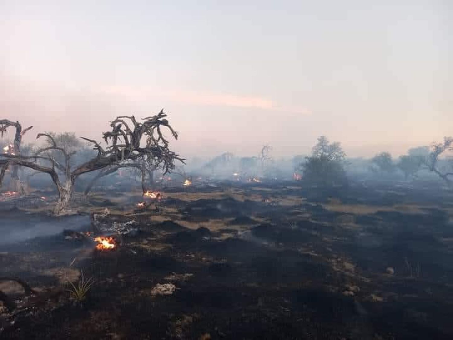 Hay tres focos activos en islas del Delta que se combaten por tierra y aire