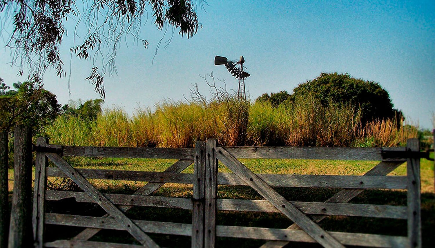 Volvió a caer la actividad del mercado inmobiliario rural y octubre fue el peor mes del año