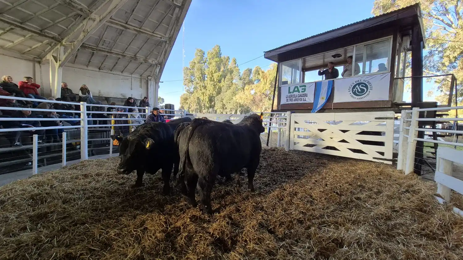Angus del Sudeste y un remate que invita a seguir creciendo