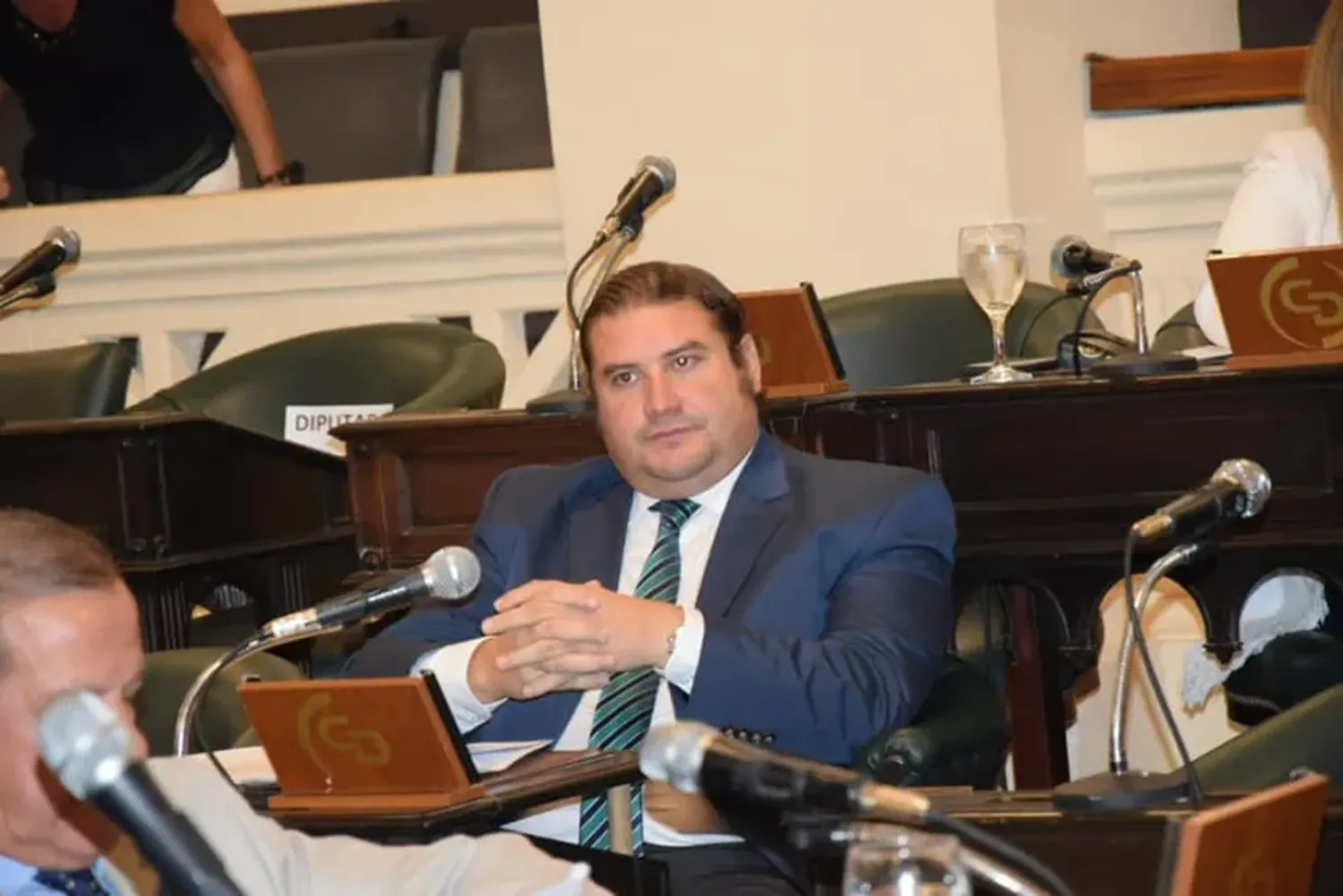 Diego Pellegrini, senador de Corrientes.