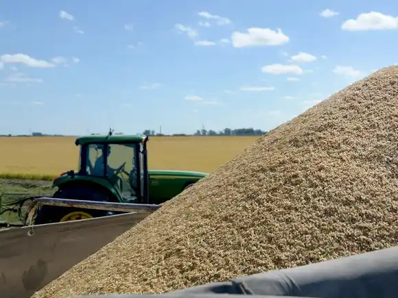 Las exportaciones del agro crecieron un 25% y alcanzaron un superávit de US$ 39.000 millones