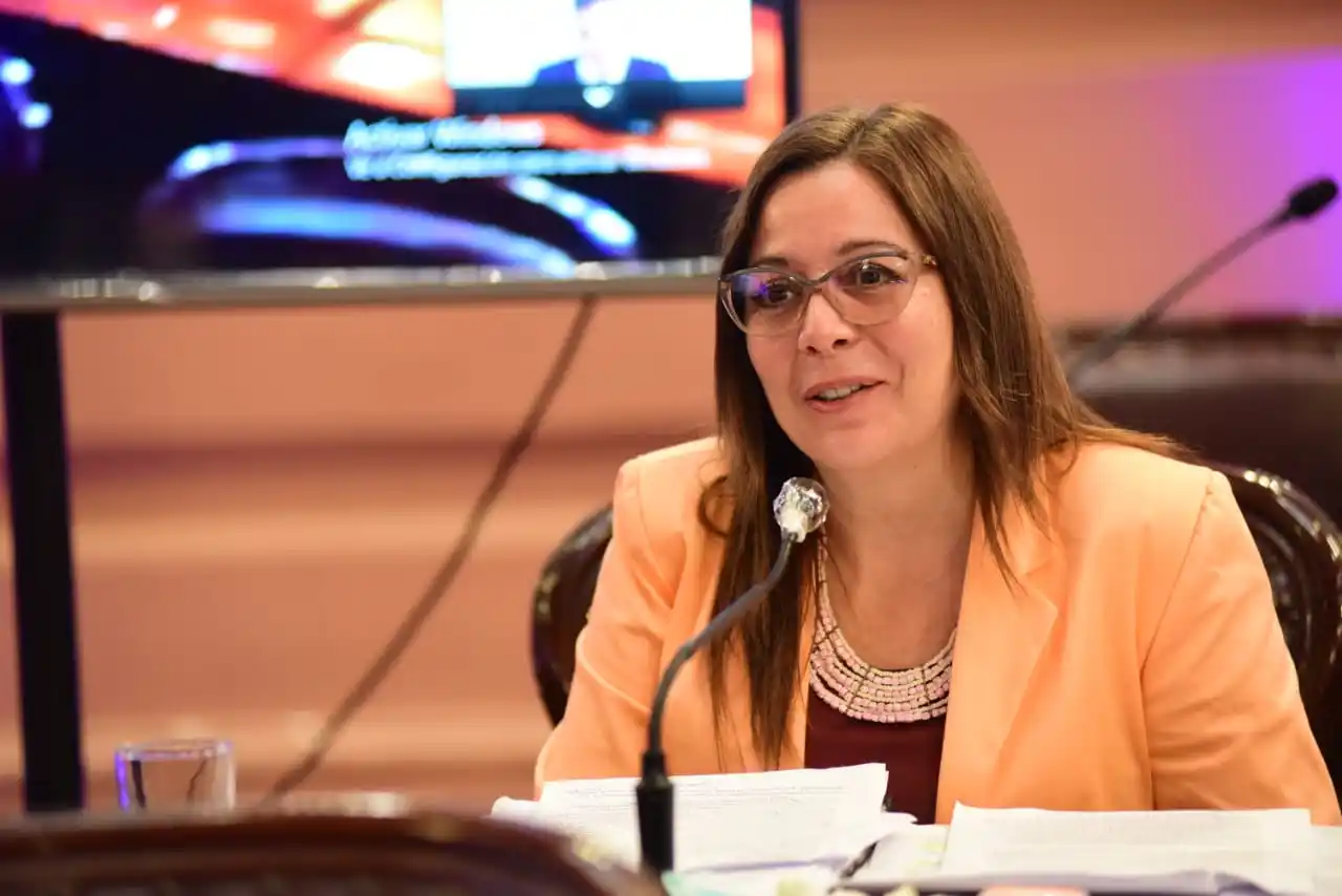 Mariana Farfán asumió la presidencia de la Comisión de Legislación General