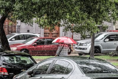 Las lluvias de esta semana rompieron un récord de 70 años en Entre Ríos