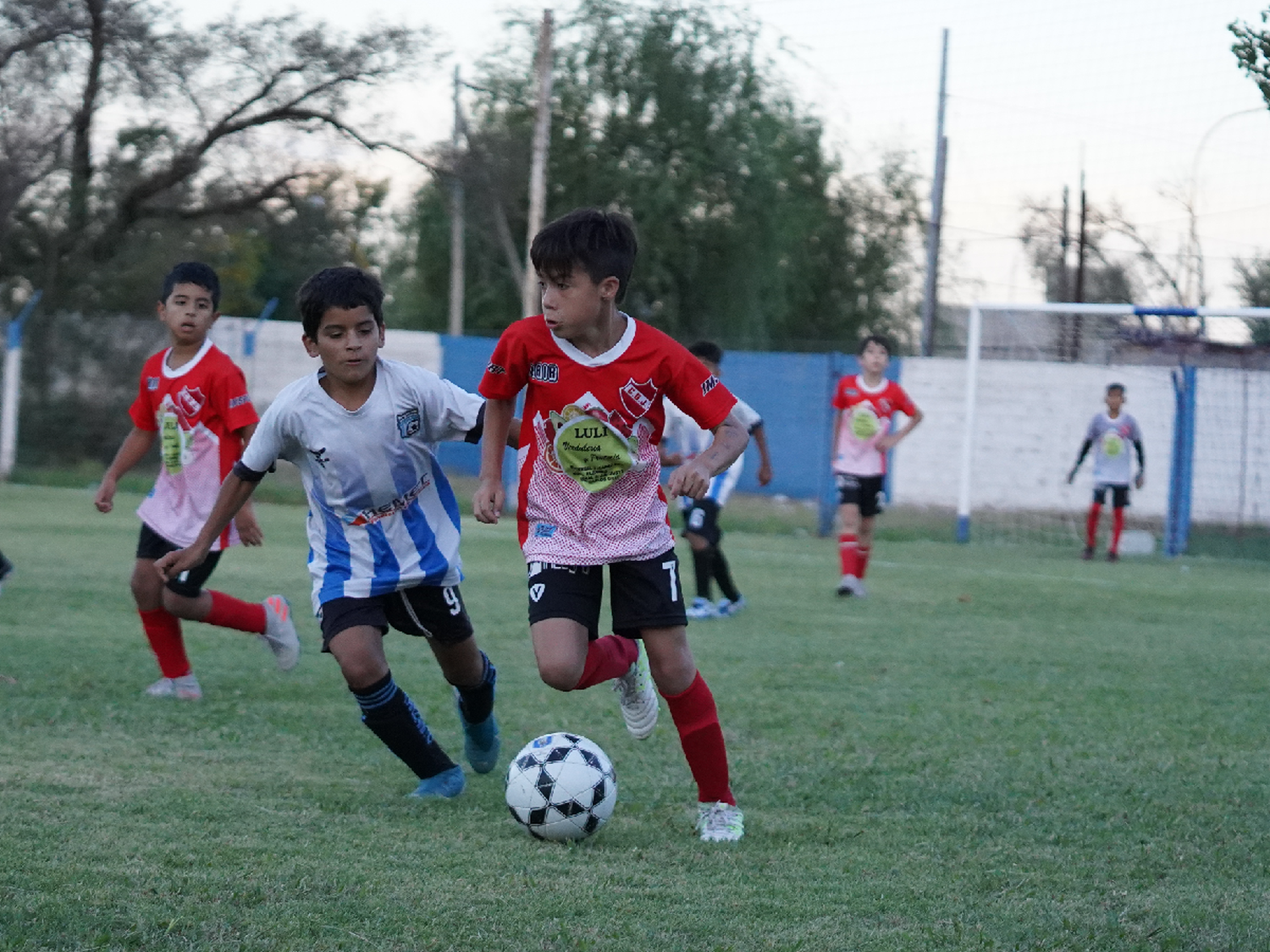 Sigue el Torneo Apertura