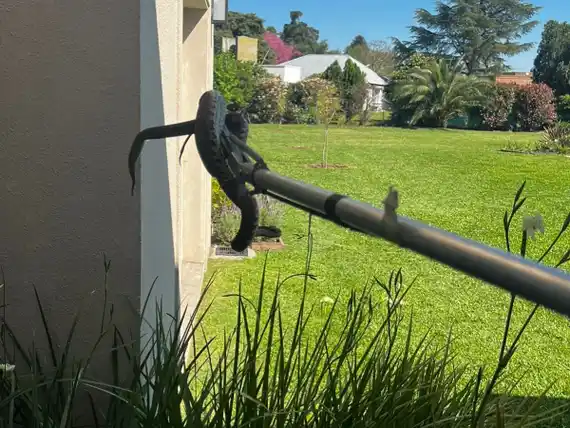 Susto en el Tercer Cuartel: Bomberos retiraron una yarará de una vivienda