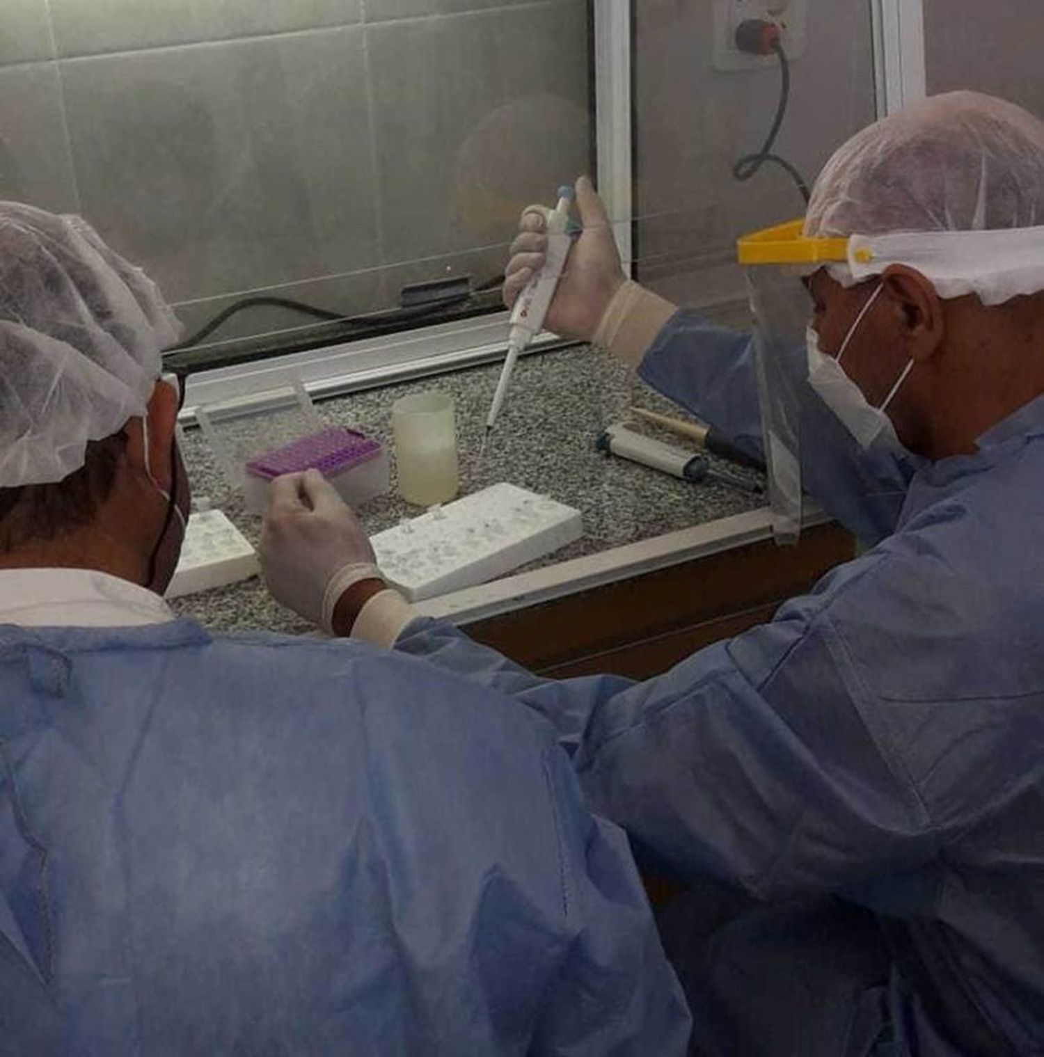 Hospital de San Martín 2: nuevo laboratorio de PCR