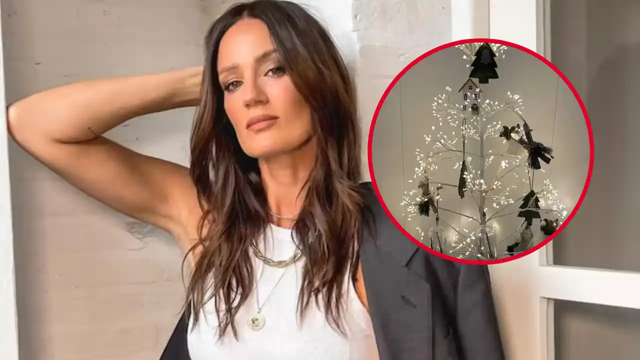 Paula Chaves respondió con humor a las críticas por su árbol de Navidad: “No fui por el Golden, fui por el callejero”