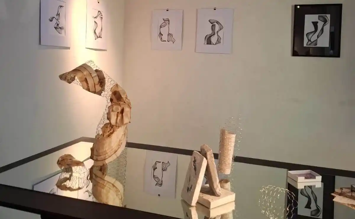 Obras Silvia