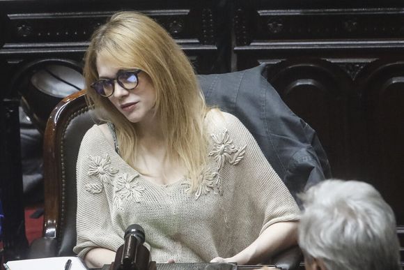 Lemoine se acercó hasta la protesta de jubilados en Congreso y terminó siendo escupida e insultada