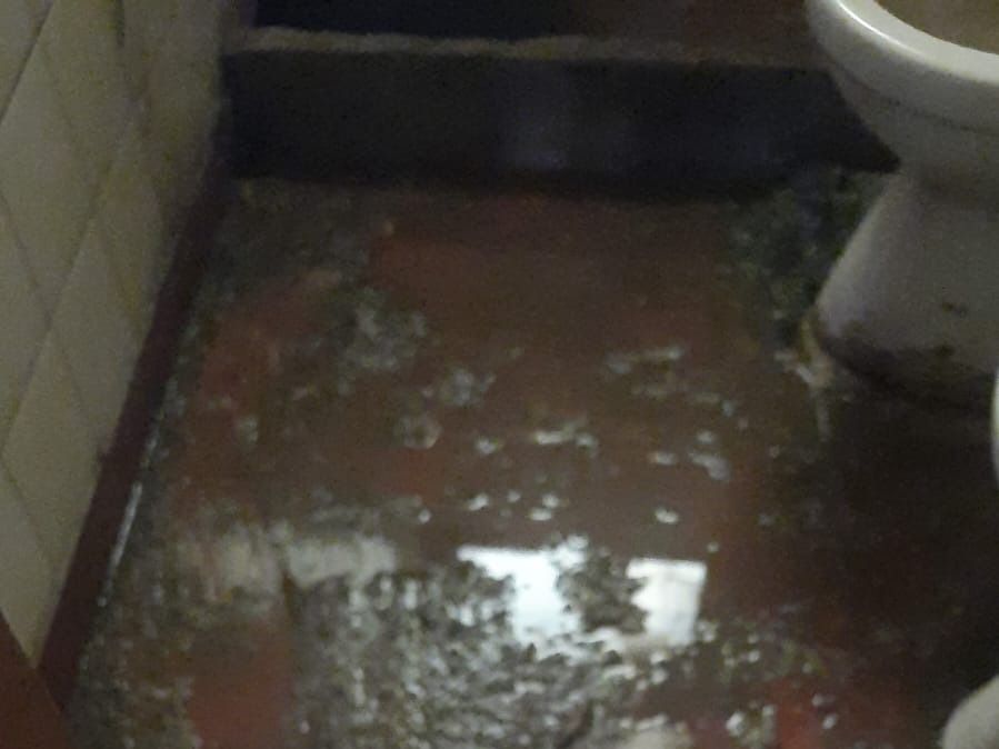Quejas por el estado de las cloacas en el Fonavi 2