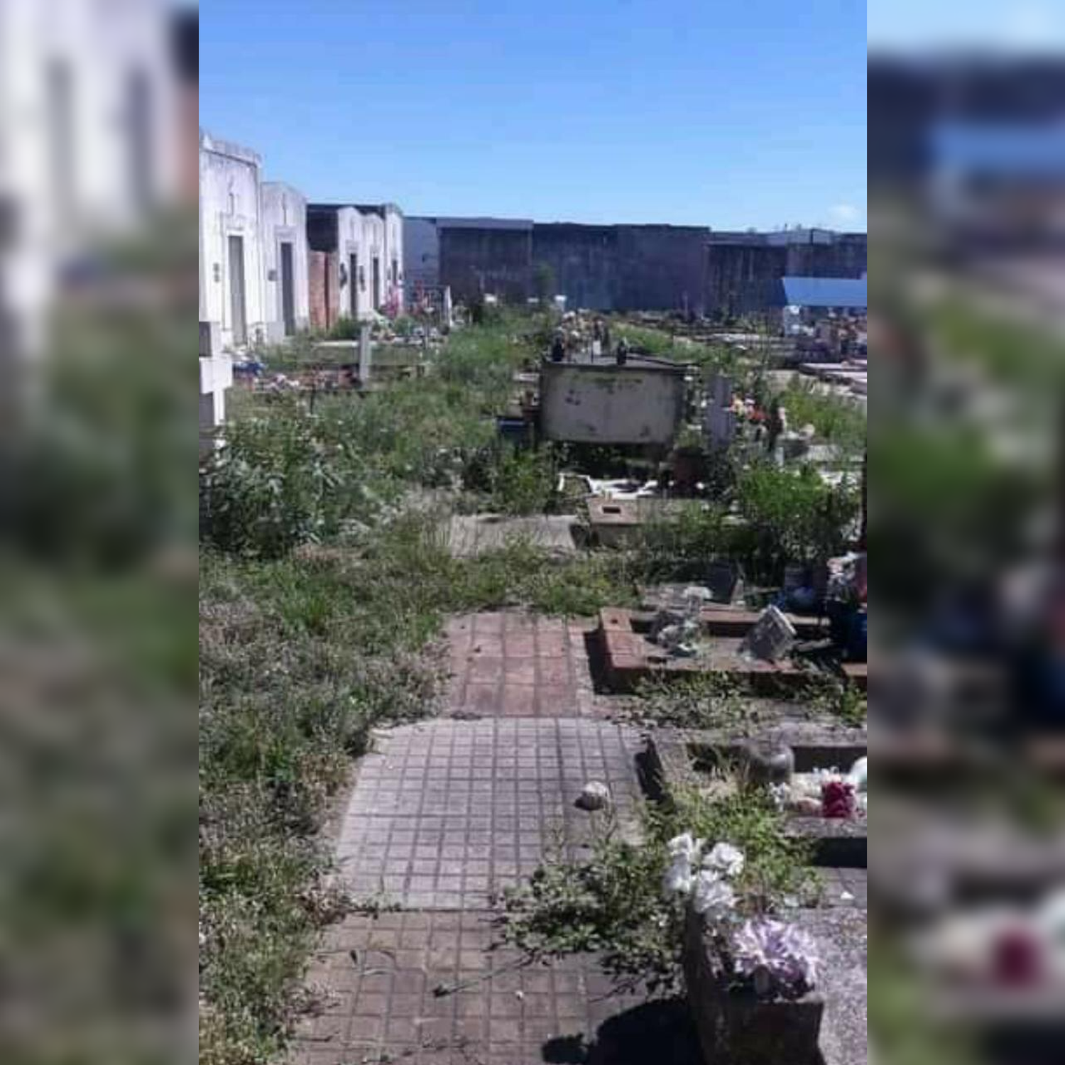 Reclamo por el cementerio: “está todo abandonado”