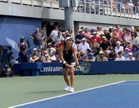 Carlé se despidió en la primera ronda del US Open