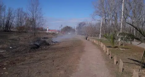 Humo en el paseo público