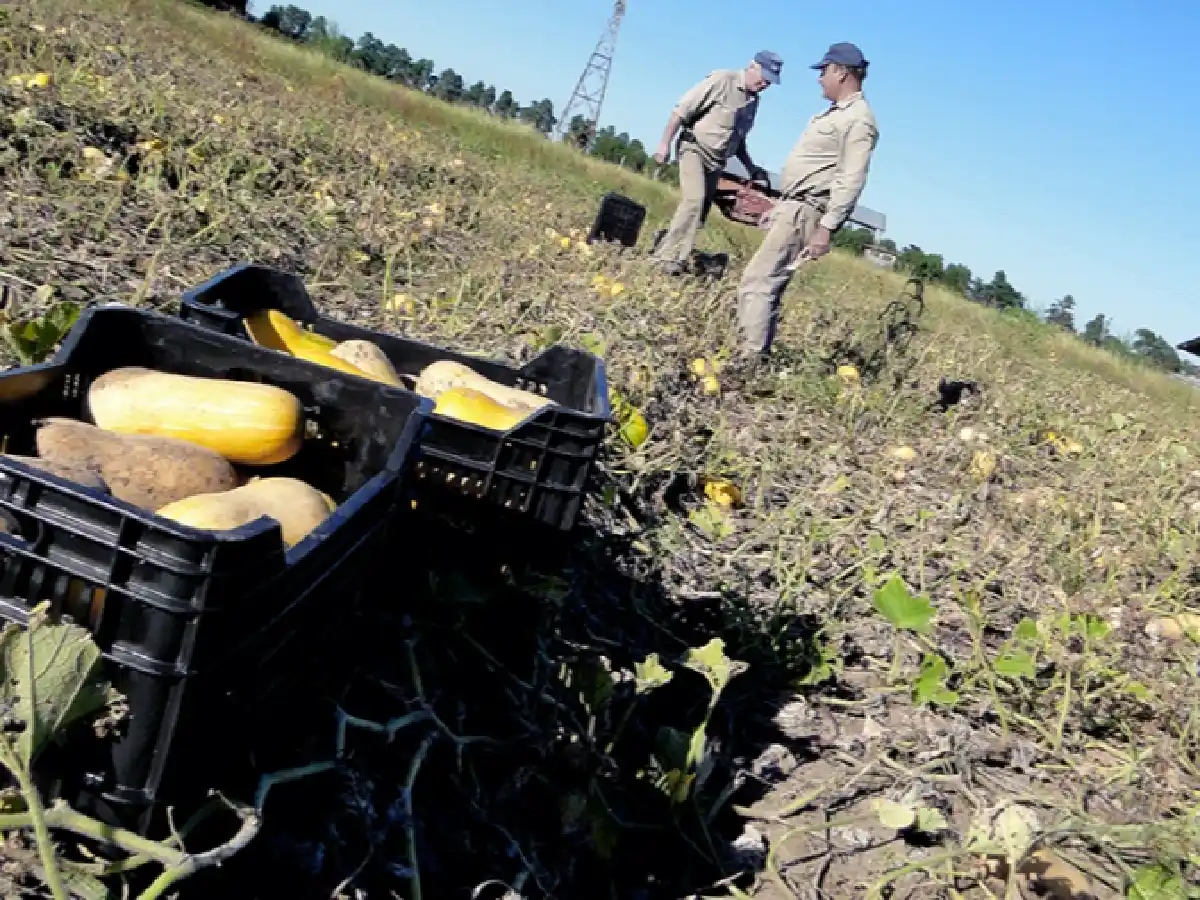 El gobierno apuesta a los agroalimentos para potenciar exportaciones