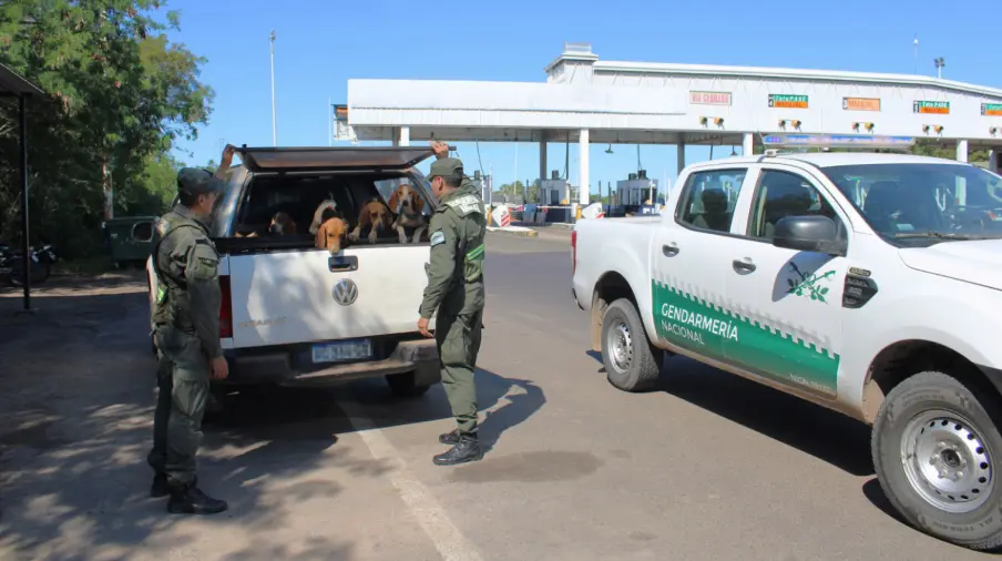 Rescataron 21 perros y dos “gallos de riña” trasladados sin condiciones sanitarias y atados al vehículo