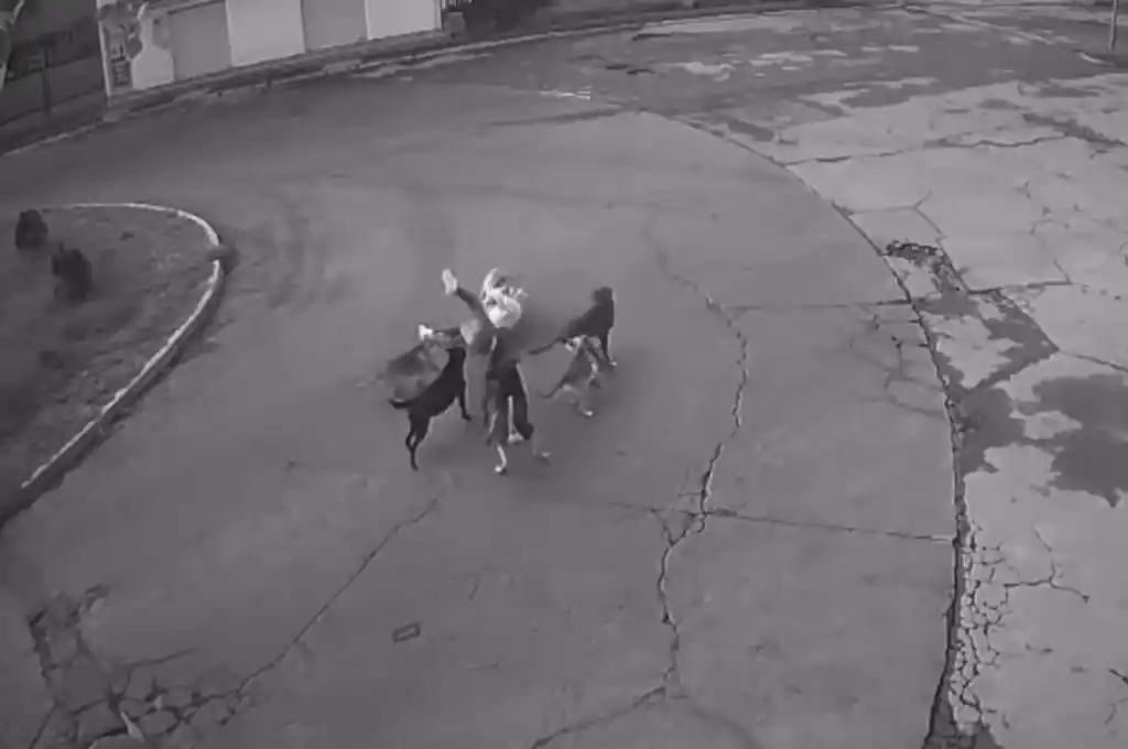 Ataque de perros a un mujer