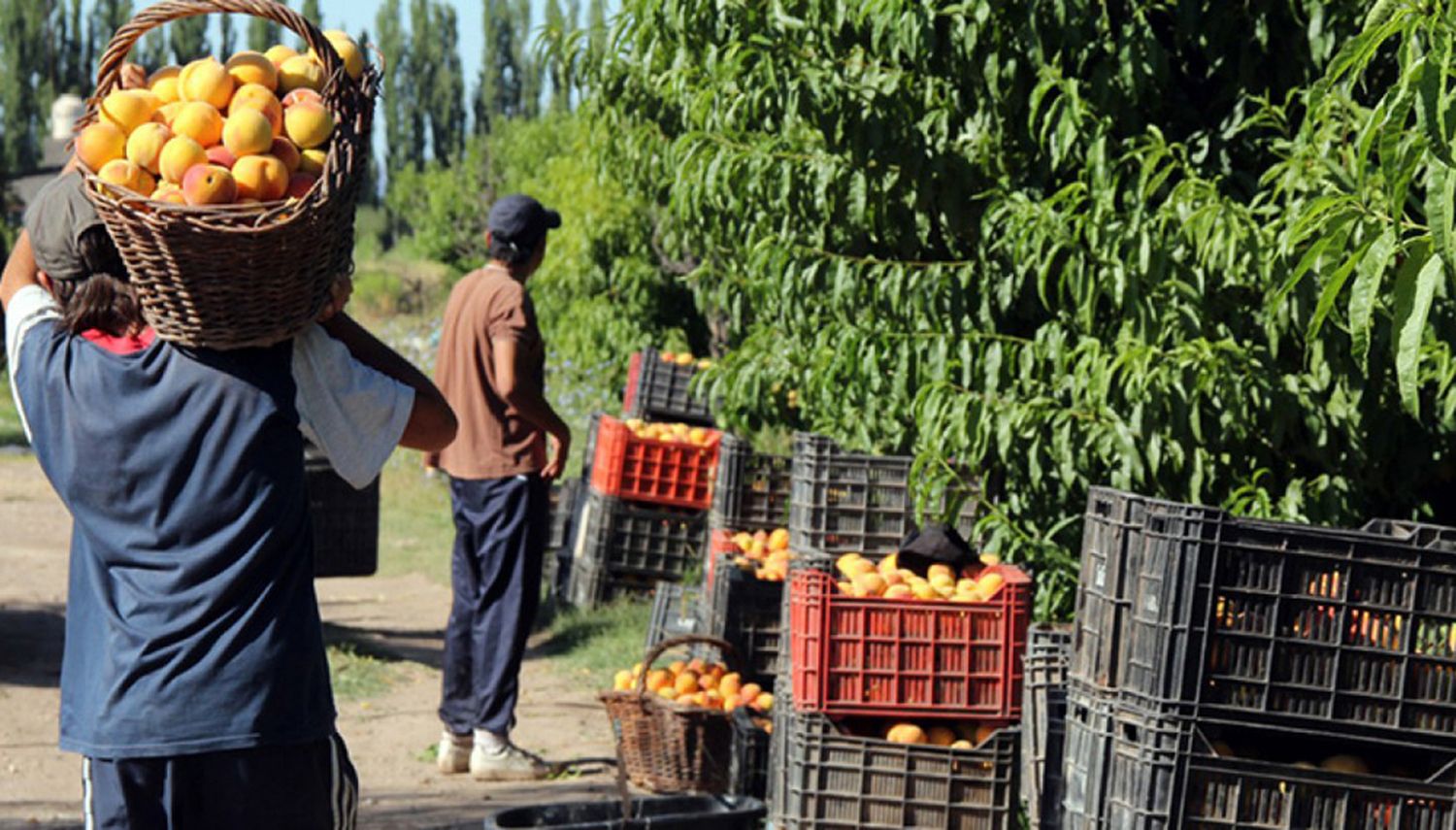 El plan Agricultura Familiar tiene abierta la inscripción hasta el 13 de junio