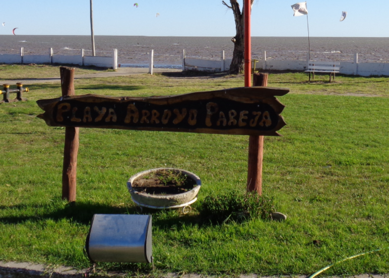 Punta Alta: Un nene fue mordido por un dogo y aprehendieron al dueño "con aliento etílico" mientras amenazaba