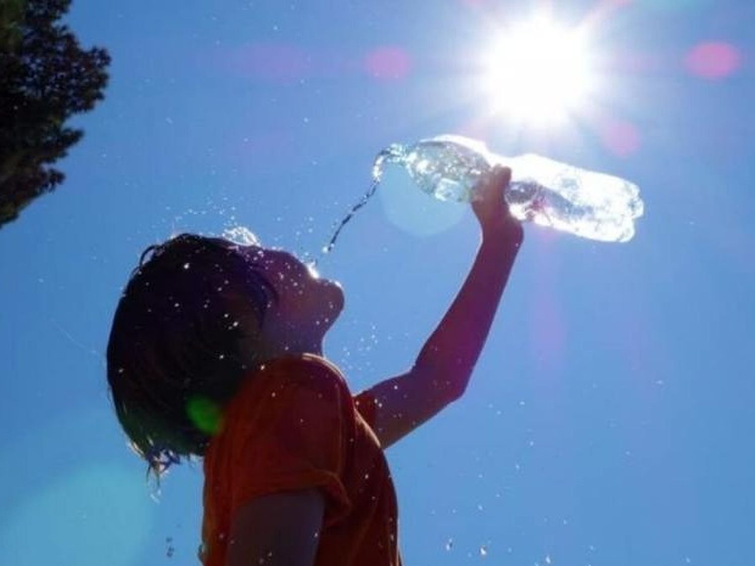 Ola de calor: se esperan 39 grados para este lunes