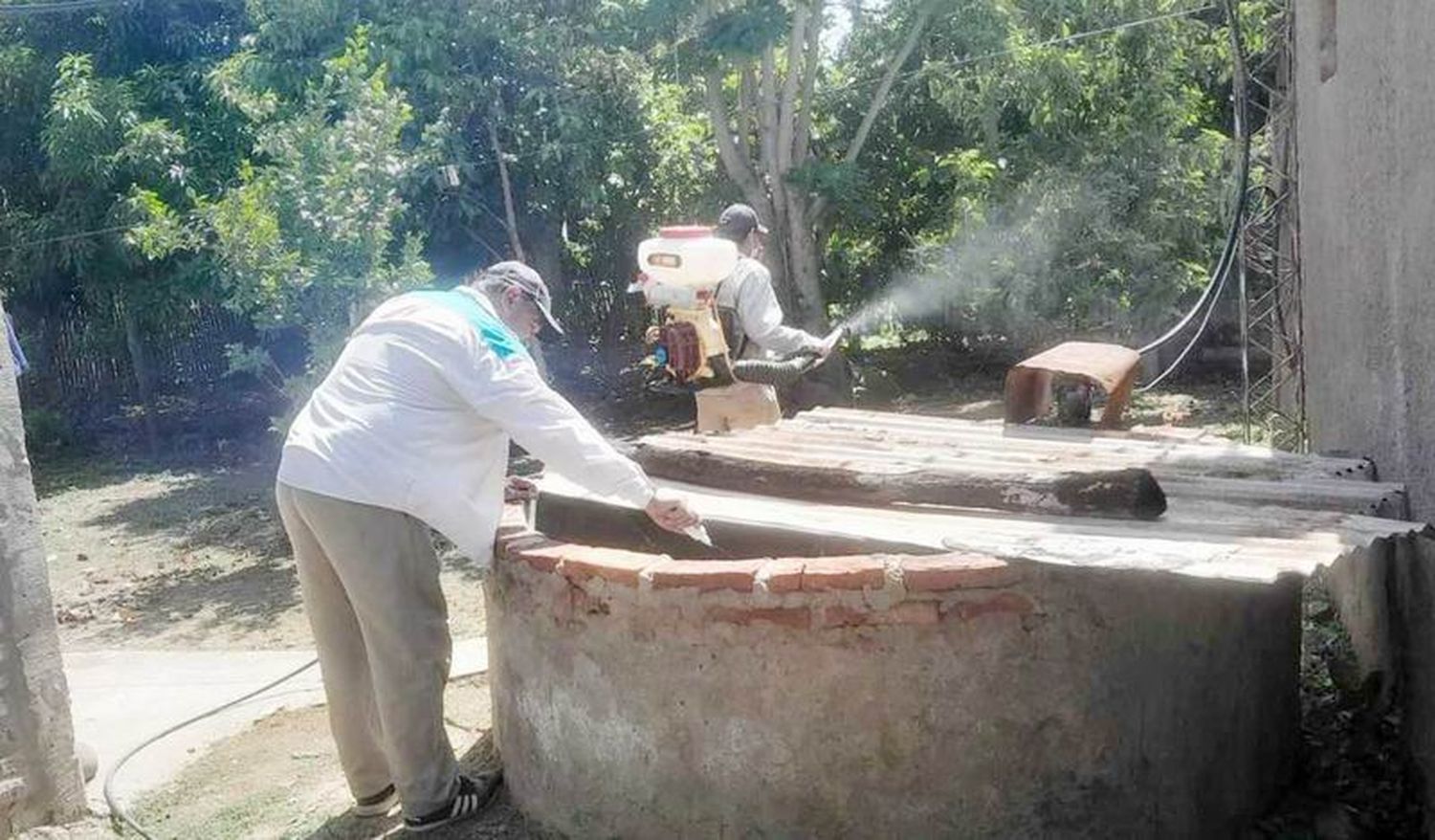 Dengue: El gobierno informó que en la 
última semana se registraron 715 casos