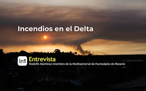 Incendios en el Delta: "O ponés al mejor ambientalista o seguís haciendo el show y videítos por internet"