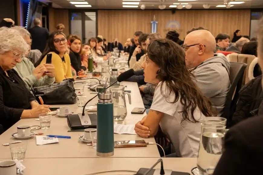 diputados discapacidad