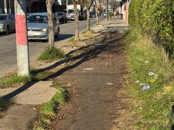 Tour de veredas: así está la esquina de Mitre y Bozzano