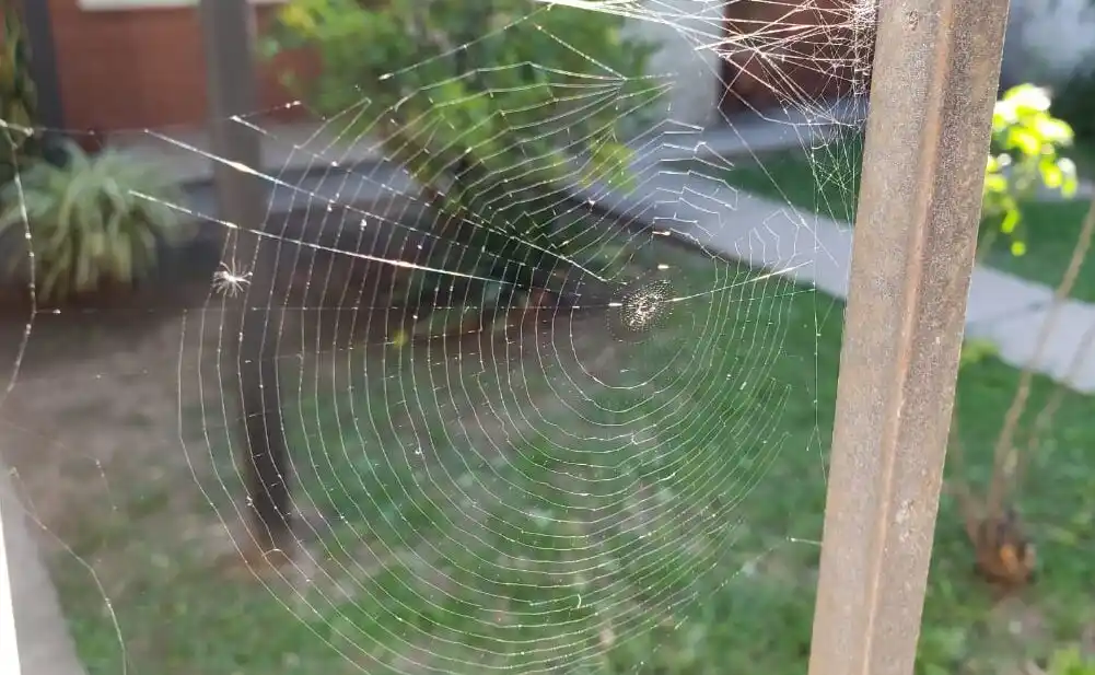 El solsticio de verano llega con días soleados y mañanas frescas
