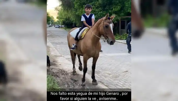 Buscan a la yegua de Genaro
