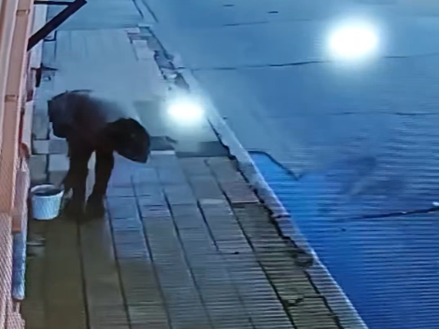 Insólito: una mujer robó un recipiente con alimento para perros callejeros