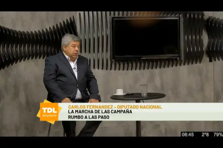 La campaña rumbo a las PASO – Tandil Despierta