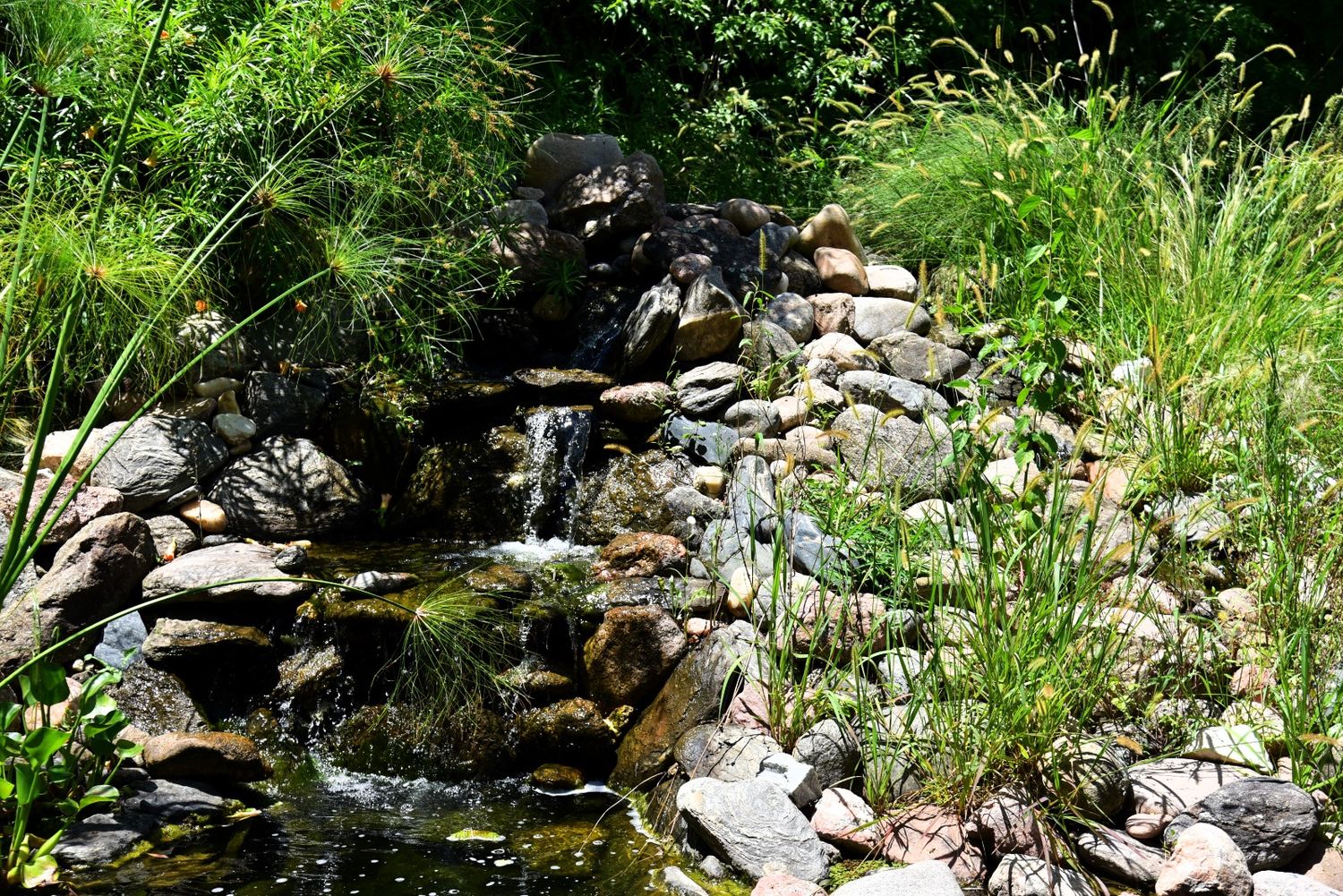 cascada Las Rosas